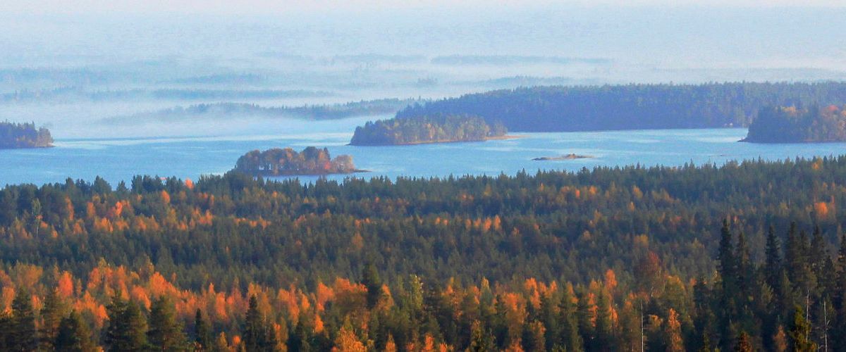Puolangalla nautitaan käytön helppoudesta ja varmasta palvelusta